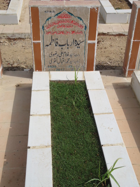 14218 – Syeda Arbab Fatima