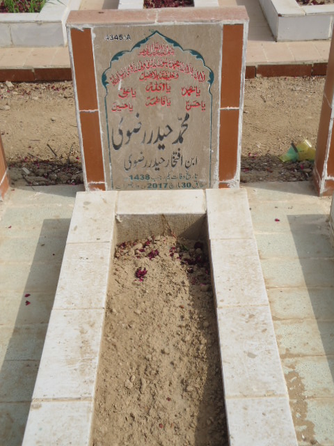 14345 – Syed Muhammad Haider Rizvi