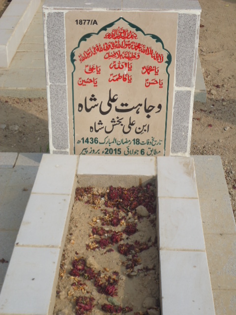 11877 – Wajahat Ali Shah