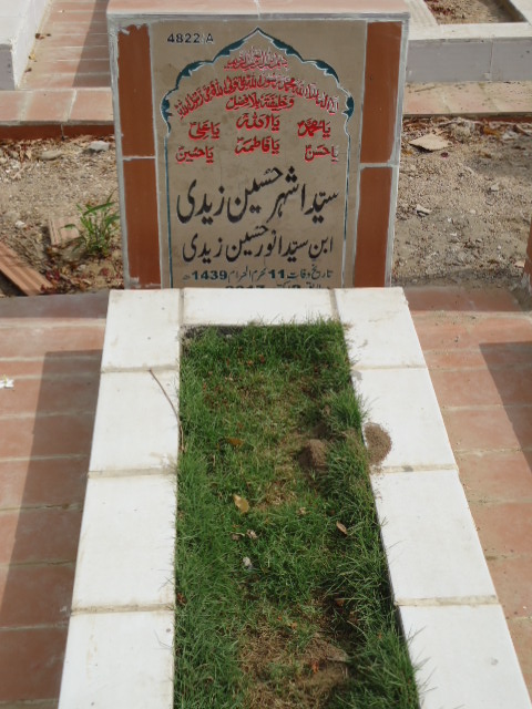14822 – Syed Ashar Hussain Zaidi