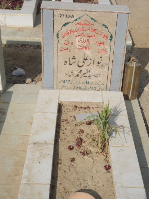 12733 – Nawaz Ali Shah