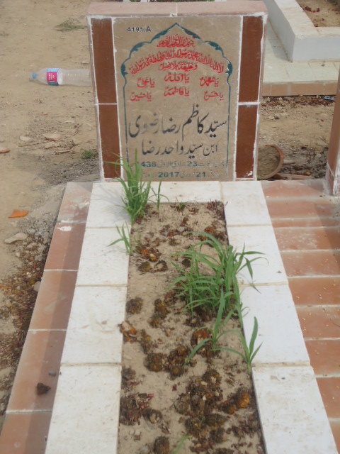 14191 – Syed Kazim Raza Rizvi