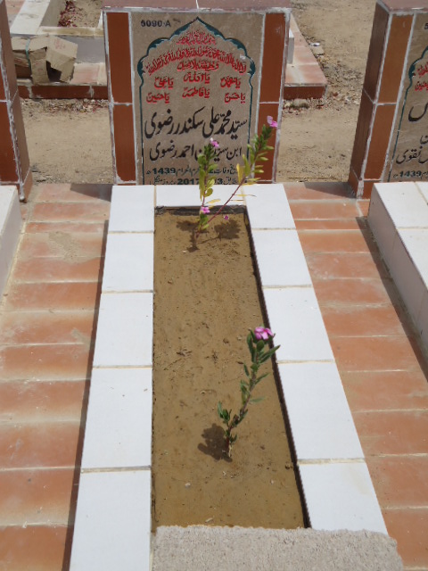 15090 – Syed Muhammad Ali Sikander Rizvi