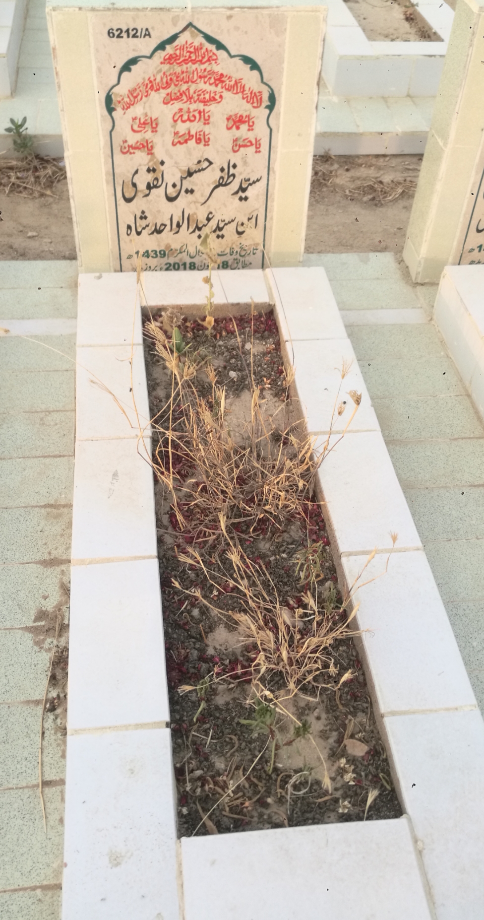 16212 – Syed Zafar Hussain Naqvi