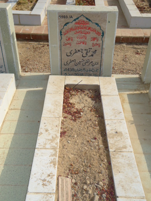 16103 – Muhammad Taqi Jaffery