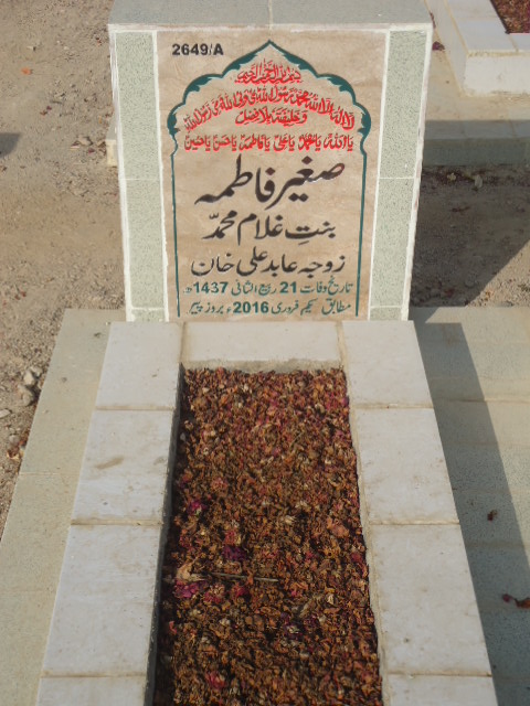 12649 – Sagheer Fatima