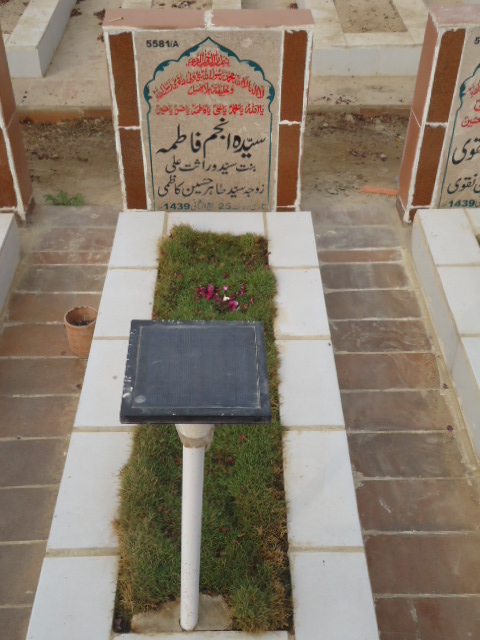 15581 – Syeda Anjum Fatima