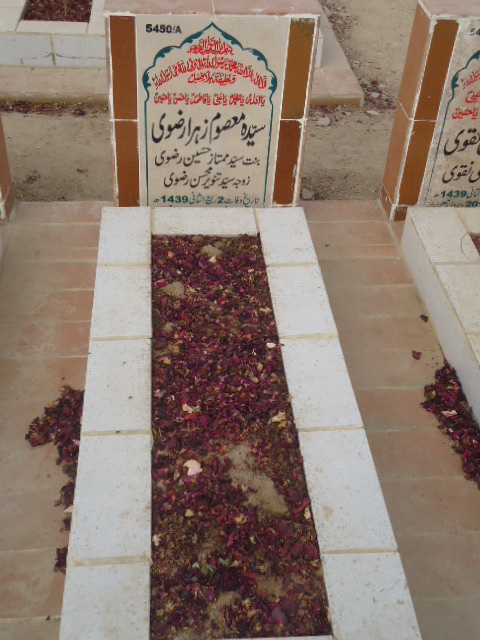 15450 – Syeda Masoom Zehra Rizvi