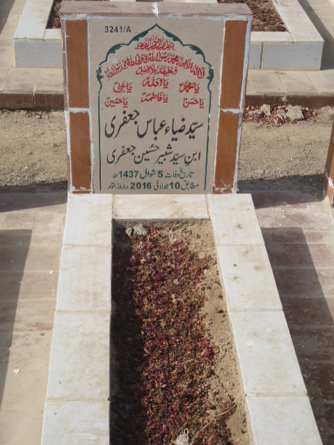 13241 – Syed Zia Abbas Jaffery