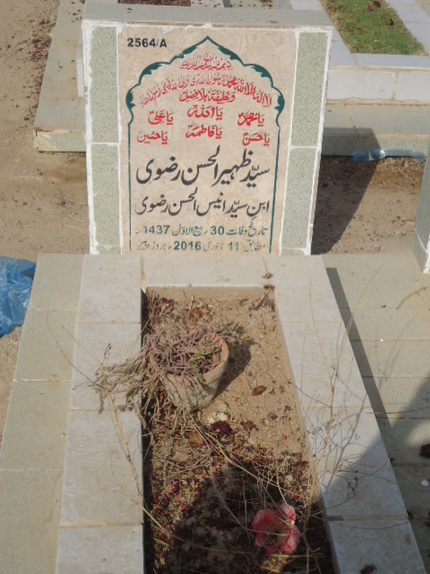 12564 – Syed Zaheer Ul Hassan Rizvi