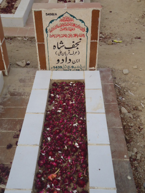 15498 – Najaf Shah