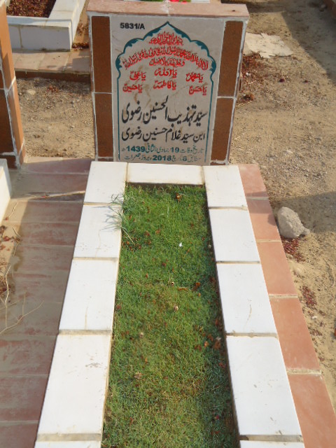 15831 – Syed Tehzeeb Ul Hasnain Rizvi