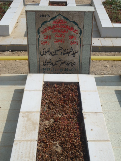 12455 – Syed Shahinshah Hussain Rizvi