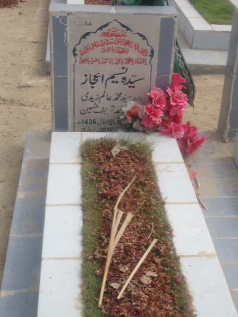 11117 – Syeda Naseem Ijaz