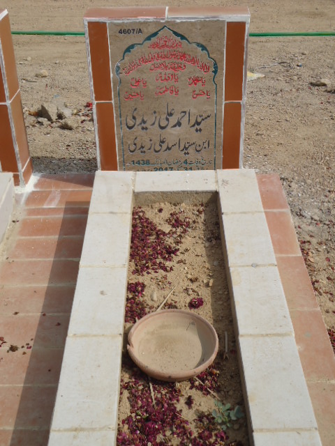 14607 – Syed Ahmed Ali Zaidi