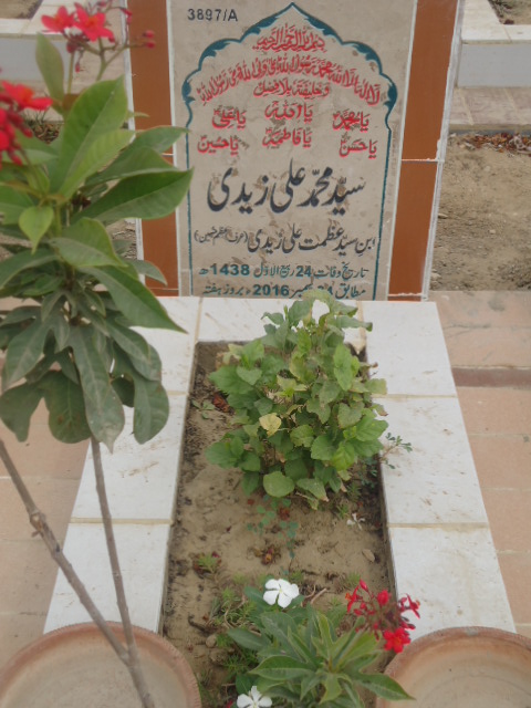 13897 – Syed Muhammad Ali Zaidi