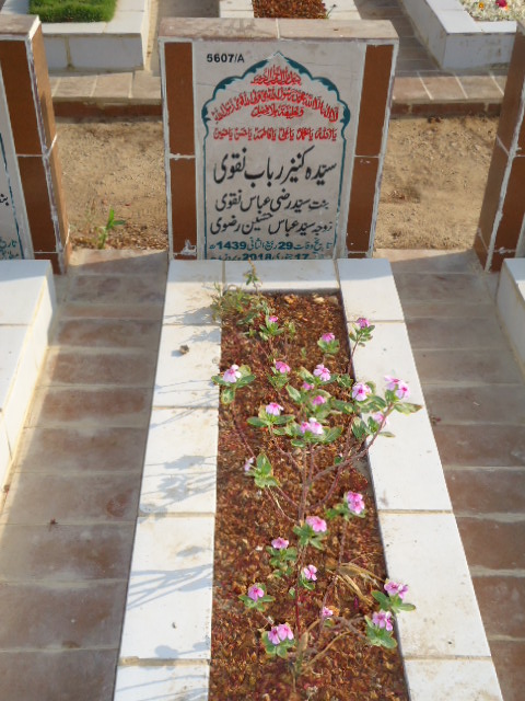 15607 – Syeda Kaneez Rubab Naqvi