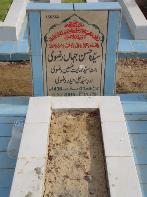 11565 – Syeda Hasan Jahan Rizvi