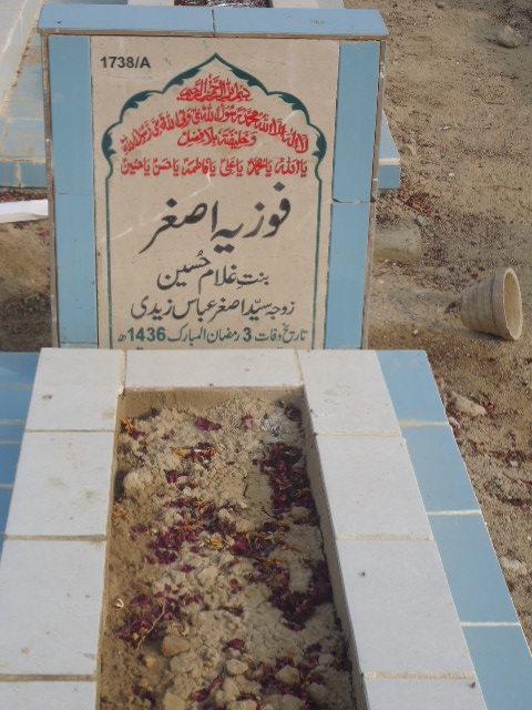 11738 – Fouzia Asghar