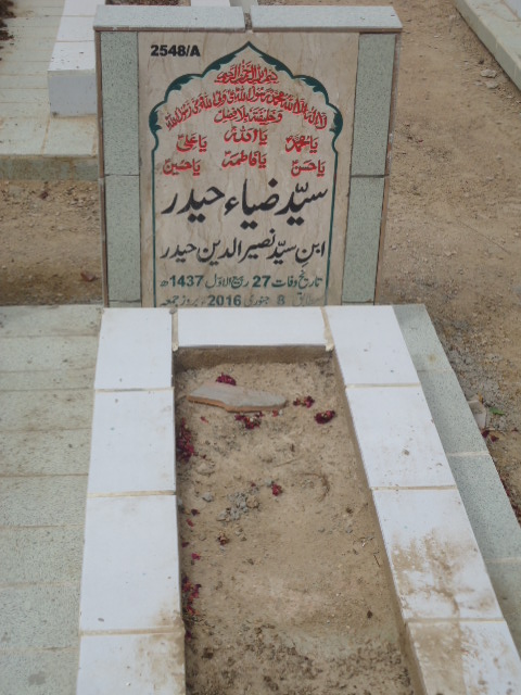 12548 – Syed Zia Haider