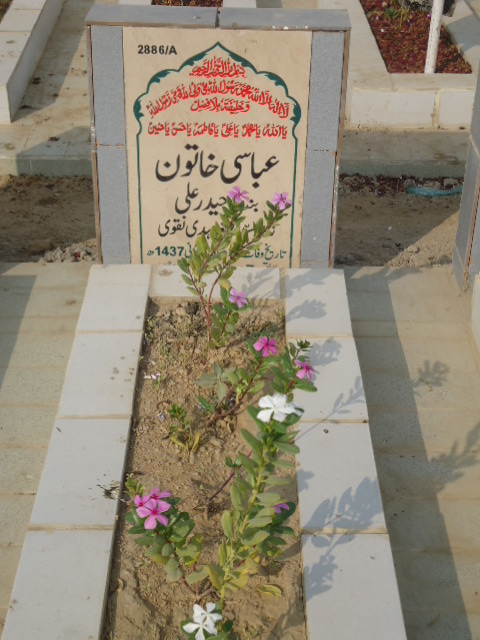 12886 – Abbasi Khatoon