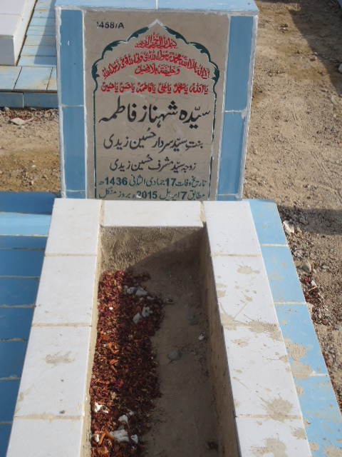 11458 – Syeda Shehnaz Fatima