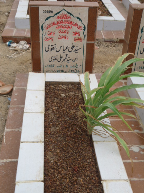 13365 – Syed Ali Abbas Naqvi