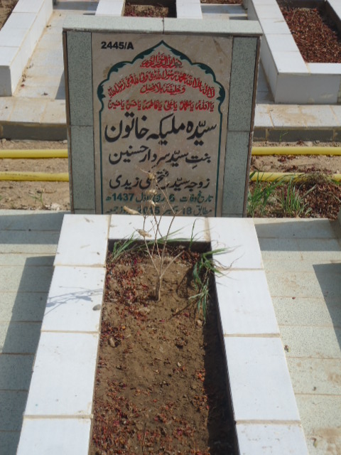 12445 – Syeda Malika Khatoon