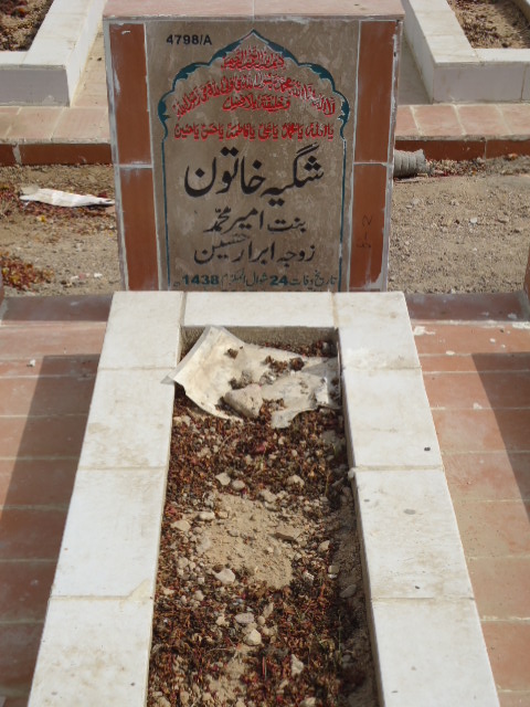 14798 – Shagia Khatoon