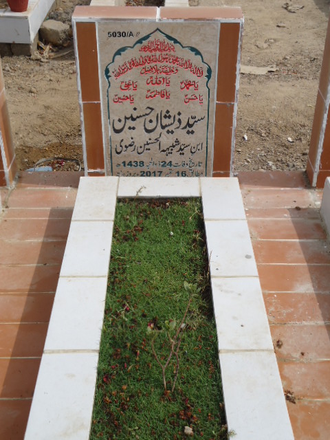 15030 – Syed Zeeshan Hasnain