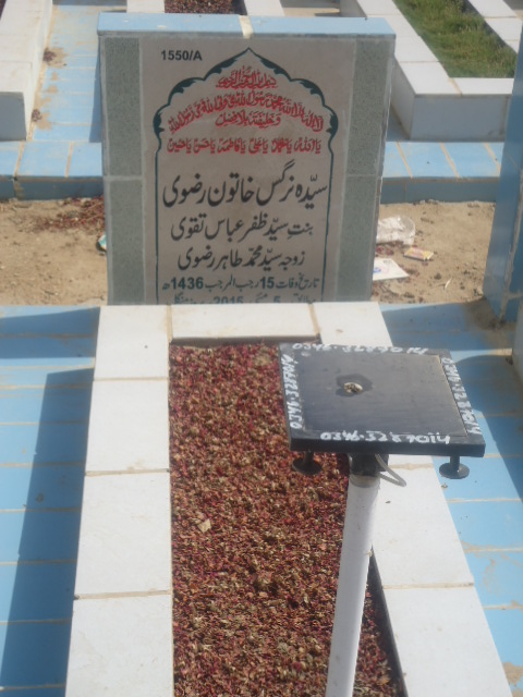 11550 – Syeda Nargis Khatoon Rizvi