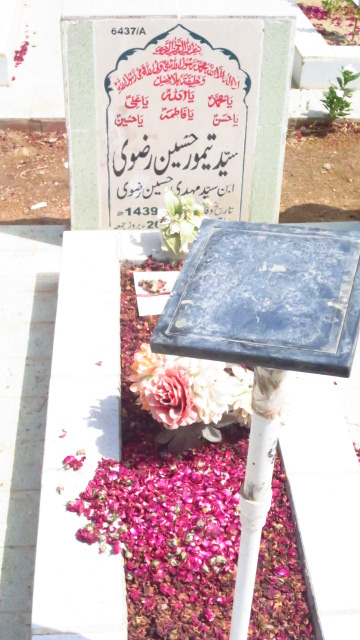 16437 – Syed Taimoor Hussain Rizvi