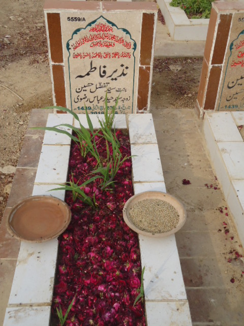 15559 – Nazeer Fatima