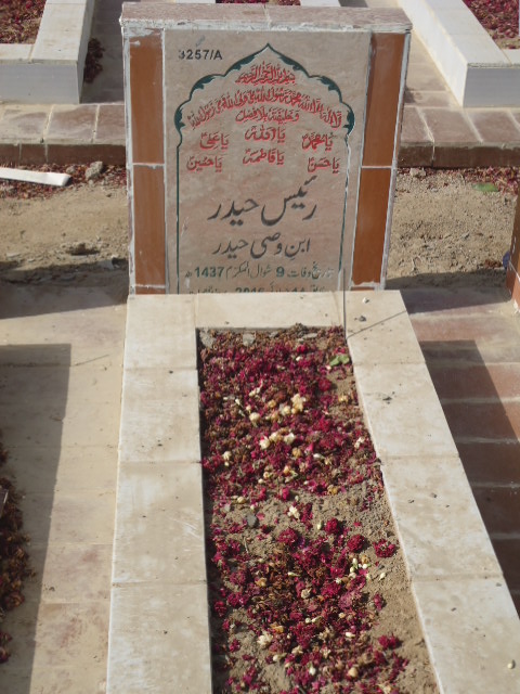 13257 – Raees Haider