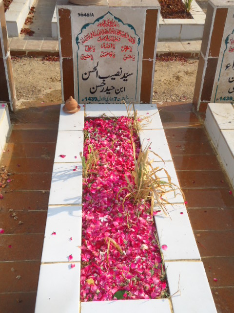 15648 – Syed Naseeb Ul Hassan