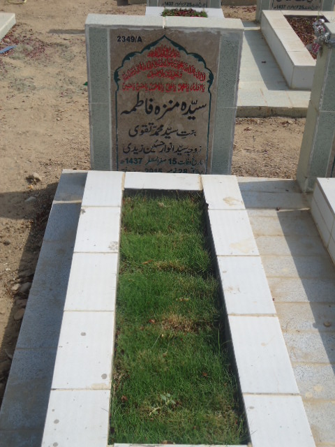 12349 – Syeda Munazza Fatima