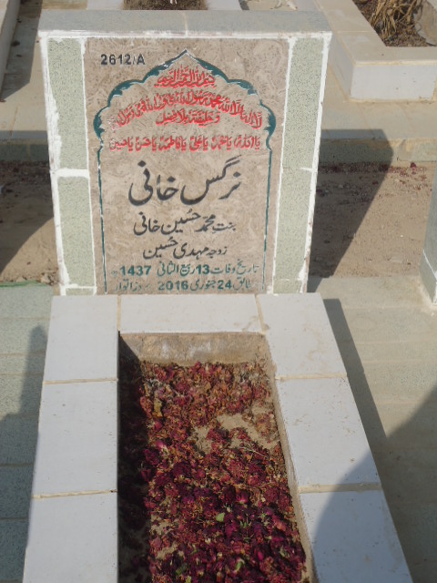 12612 – Nargis Khani