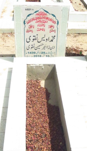 16527 – Muhammad Owais Naqvi