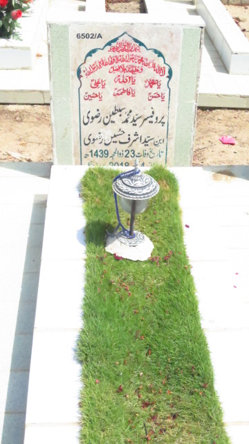16502 – Professor Syed Muhammad Sibtain Rizvi