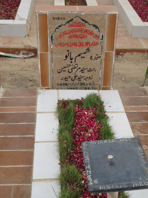 15181 – Shamim Bano