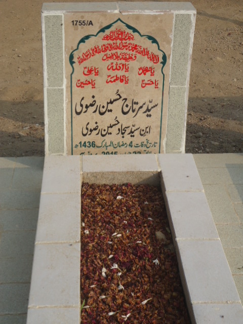 11755 – Syed Sertaj Hussain Rizvi