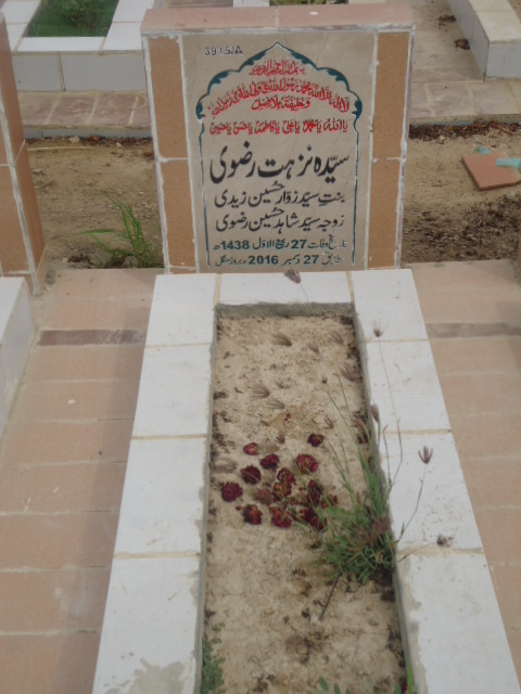 13915 – Syeda Nuzhat Rizvi