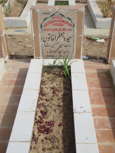 14396 – Syeda Jaffara Khatoon