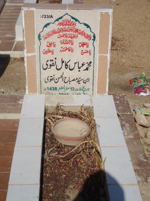 13723 – Muhammad Abbas Kamil Naqvi
