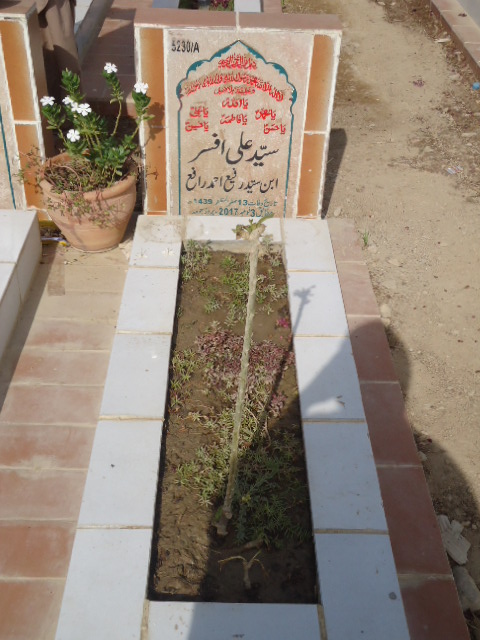 15230 – Syed Ali Afsar