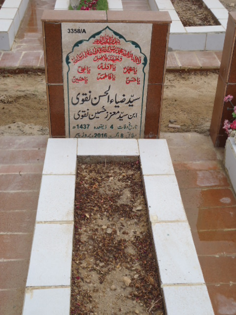 13358 – Syed Zia Ul Hassan Naqvi