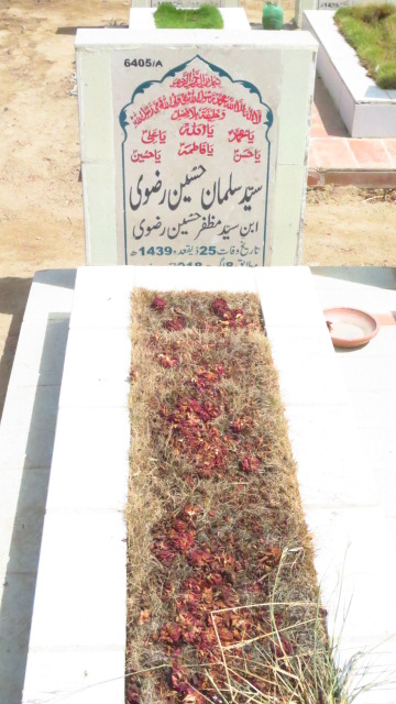 16405 – Syed Salman Hussain Rizvi