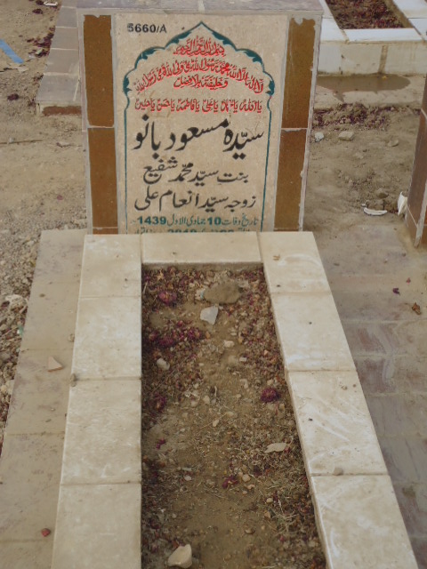 15660 – Syeda Masooda Bano