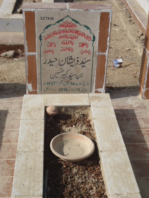 13278 – Syed Zeeshan Haider