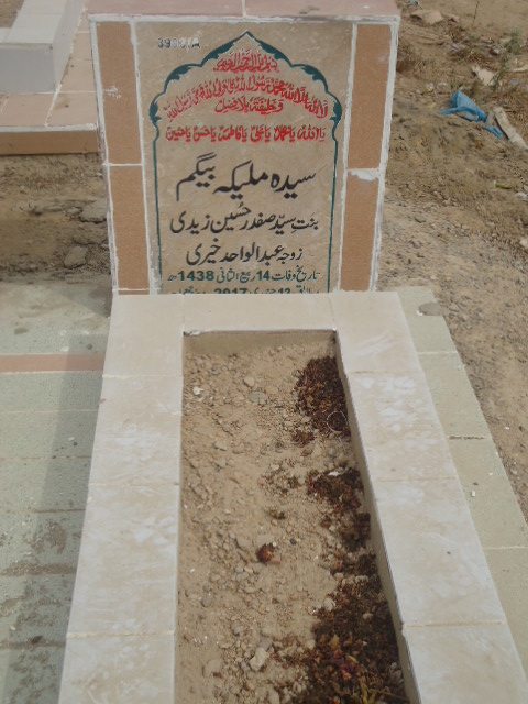 13993 – Syeda Malika Begum